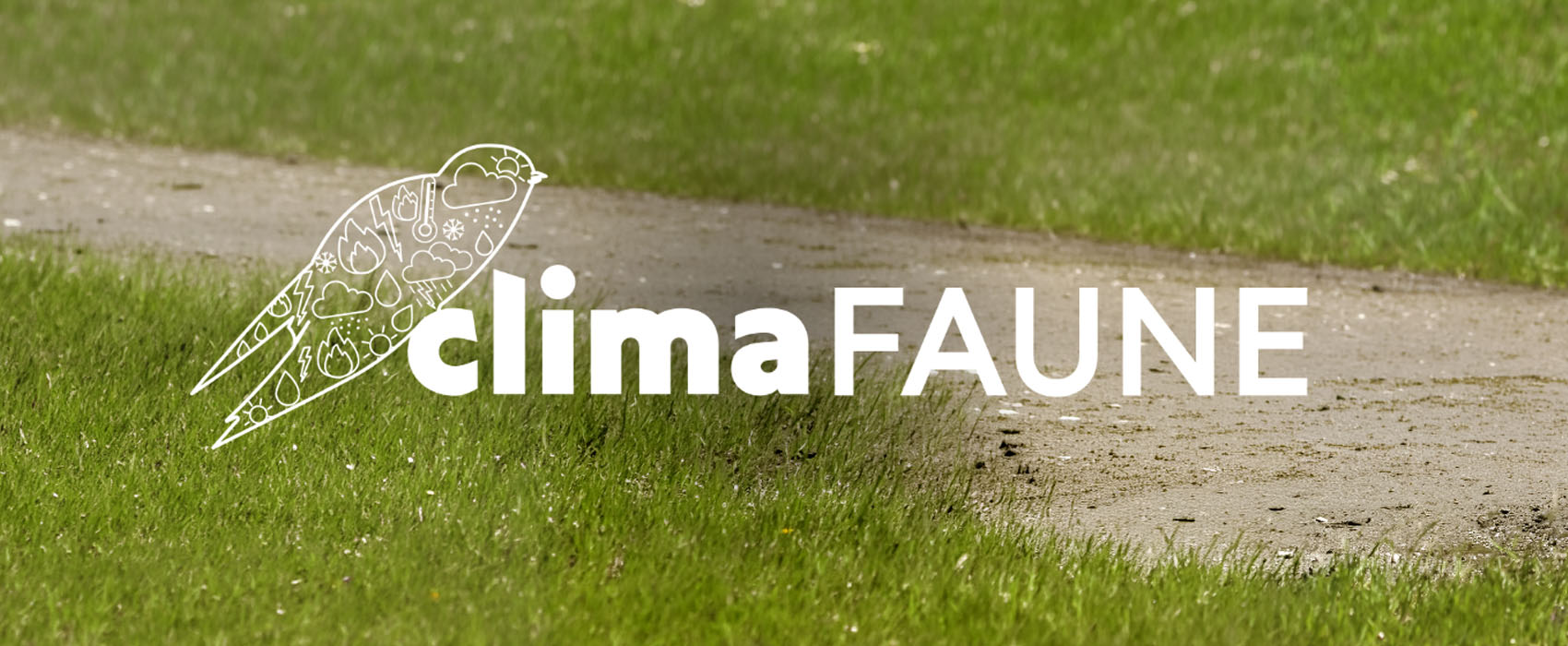 clilmat faune