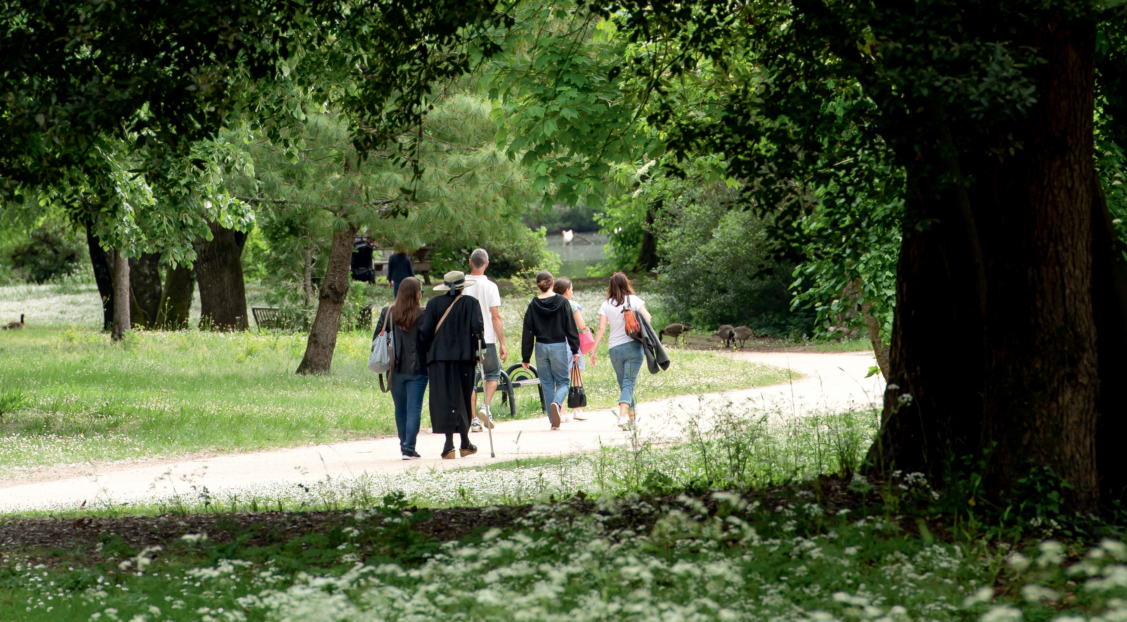 La transition écologique