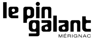 logo pin galant