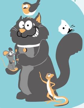 chats