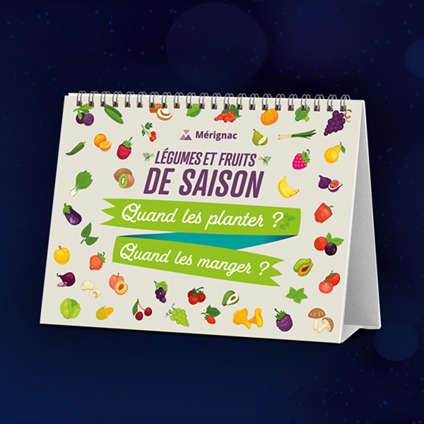 En 2021, profitez de chaque saison !