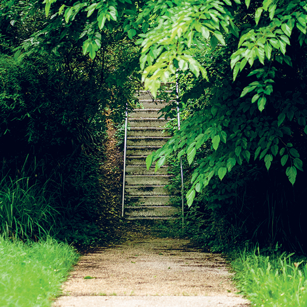 Profitez des belles soirées d'été dans vos parcs
