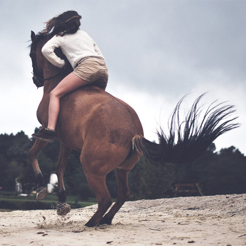 Exposition : Capture l’instant