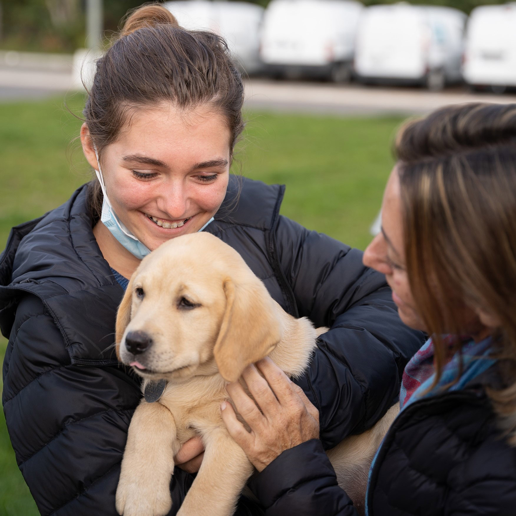 L'Ecole des Chiens Guides Aliénor à la recherche de familles d'accueil