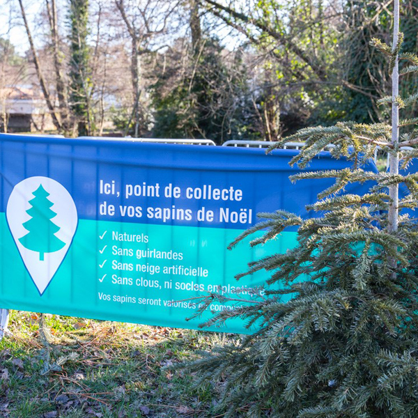 Collecte des sapins de Noël à Mérignac