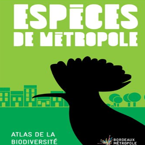 Espèces de Métropole