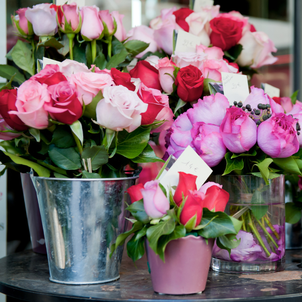 Du nouveau pour le Jardin des Fleurs 