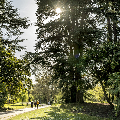 Le Mérignac Magazine du mois de Mai est à découvrir dans le Kiosque