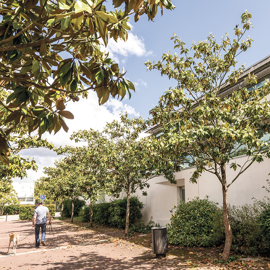 Mérignac branchée "solaire"