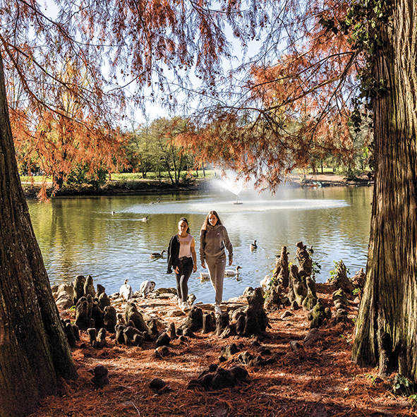 Promenons-nous dans les parcs !