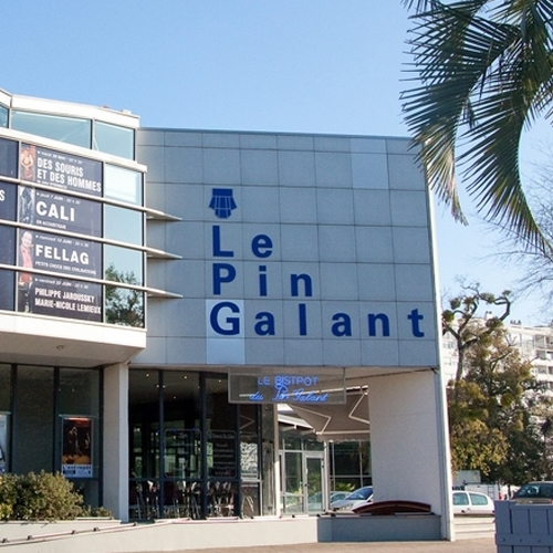 L’Histoire du Pin Galant à la une