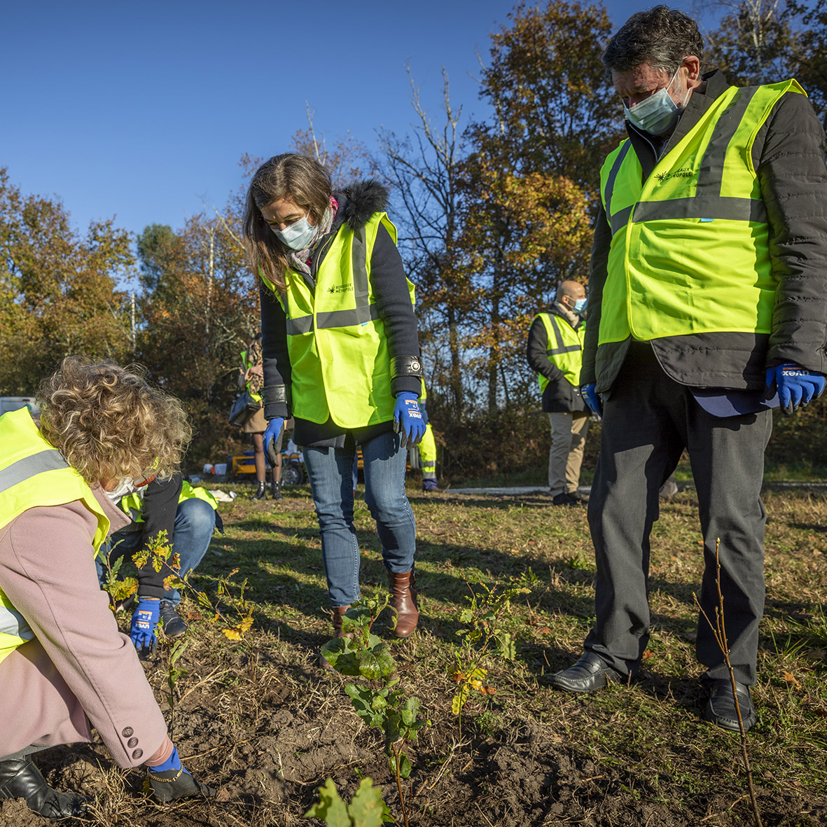 L’opération "1 million d’arbres" s’enracine à Mérignac