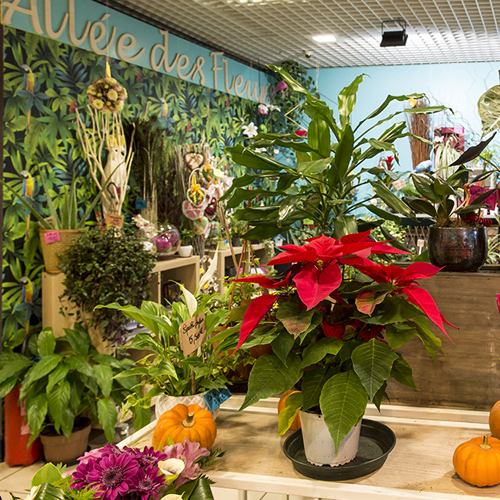  "Allée des fleurs", une fleuriste à Capeyron