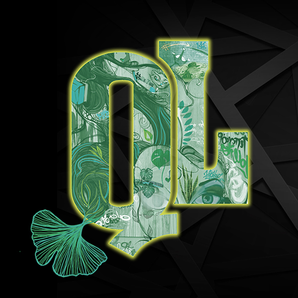 J-9 avant l'édition 2019 du festival Quartier libre à Mérignac ! 