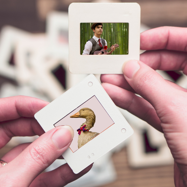 Escales d'été 2016 : retour en images !