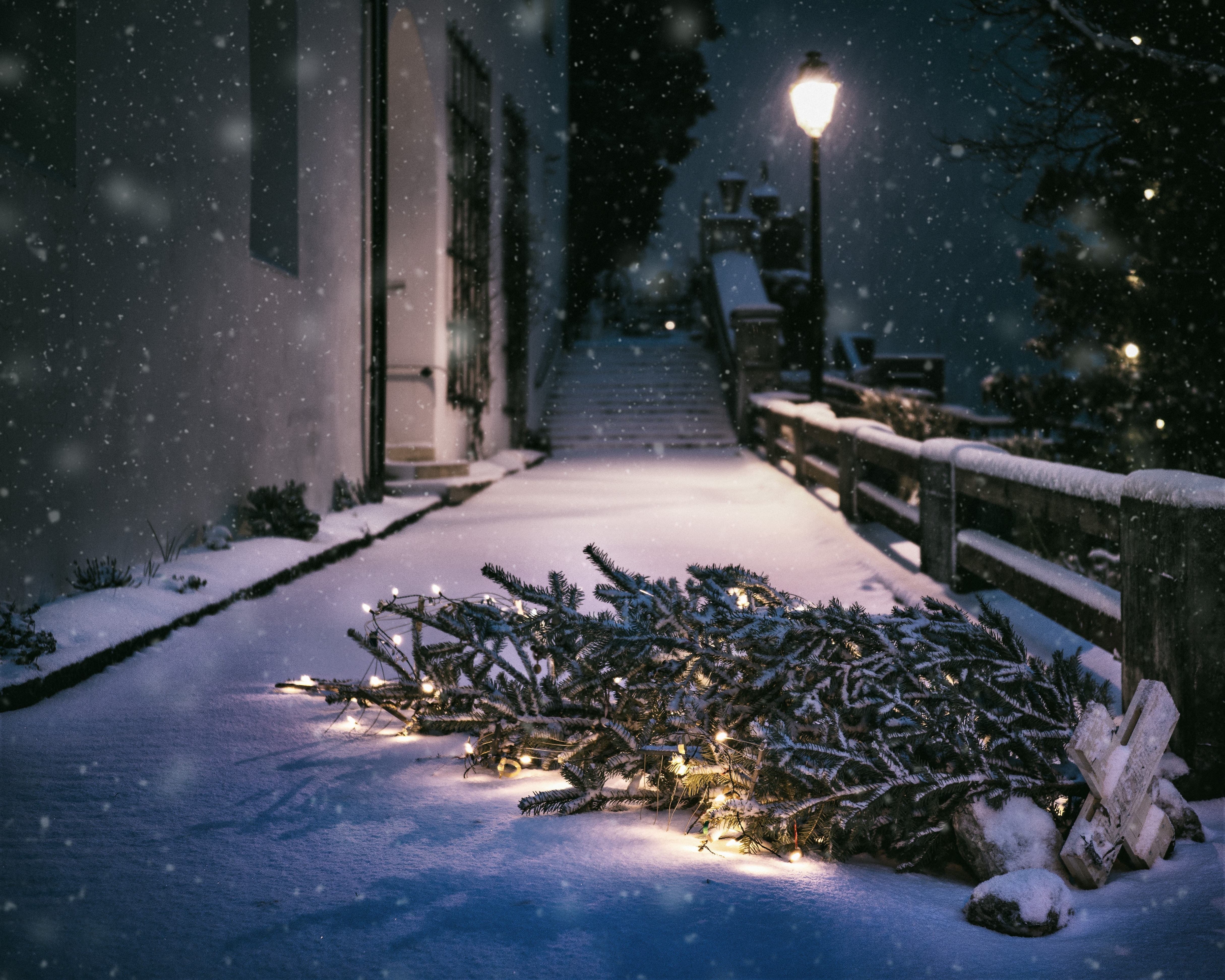 Collecte des sapins de Noël à Mérignac