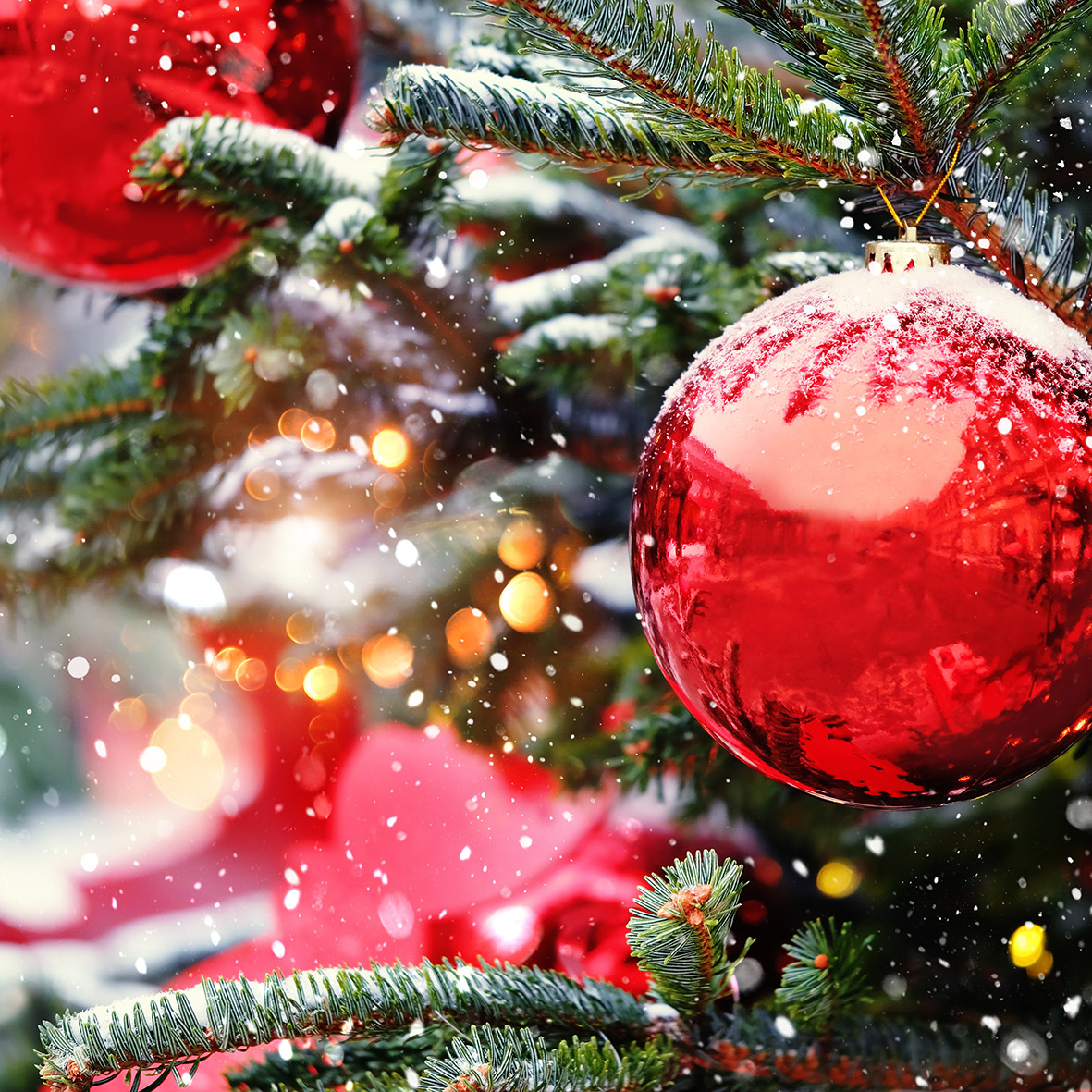 Partez en vacances l'esprit serein avec l'opération "tranquillité absence" !