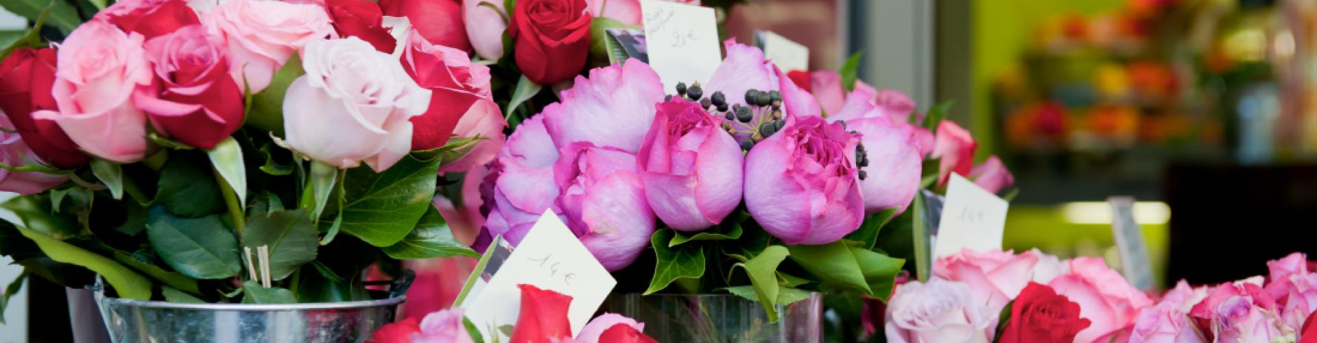 Du nouveau pour le Jardin des Fleurs | Mérignac