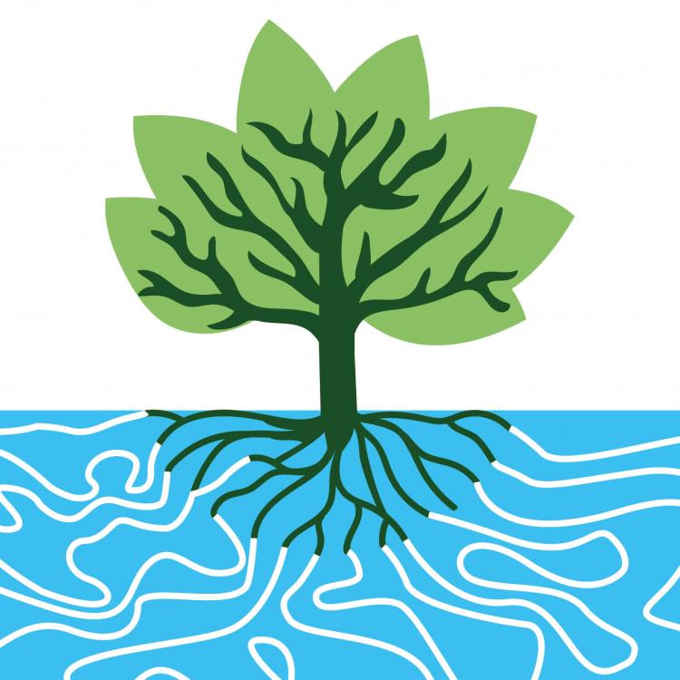 arbres_eau