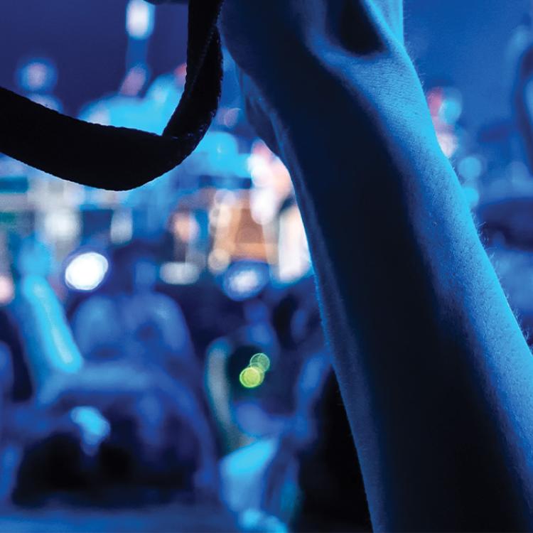 concert