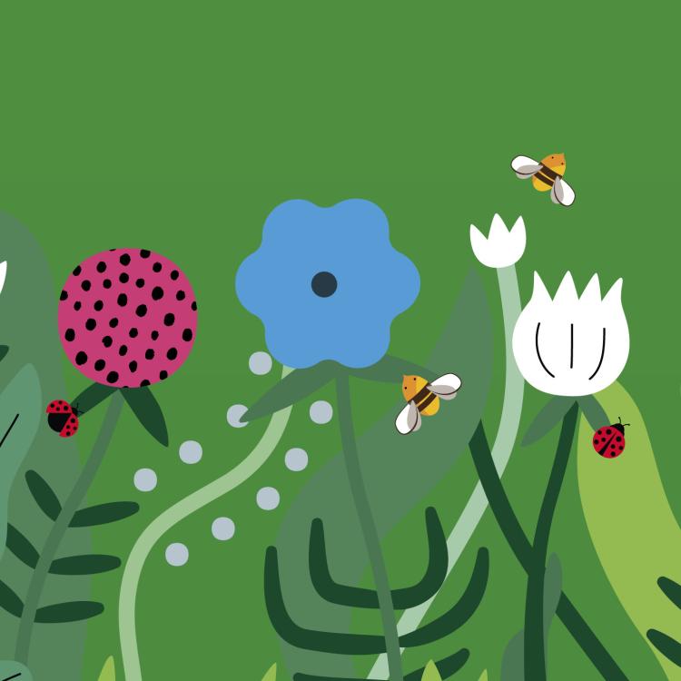 fete de la nature 