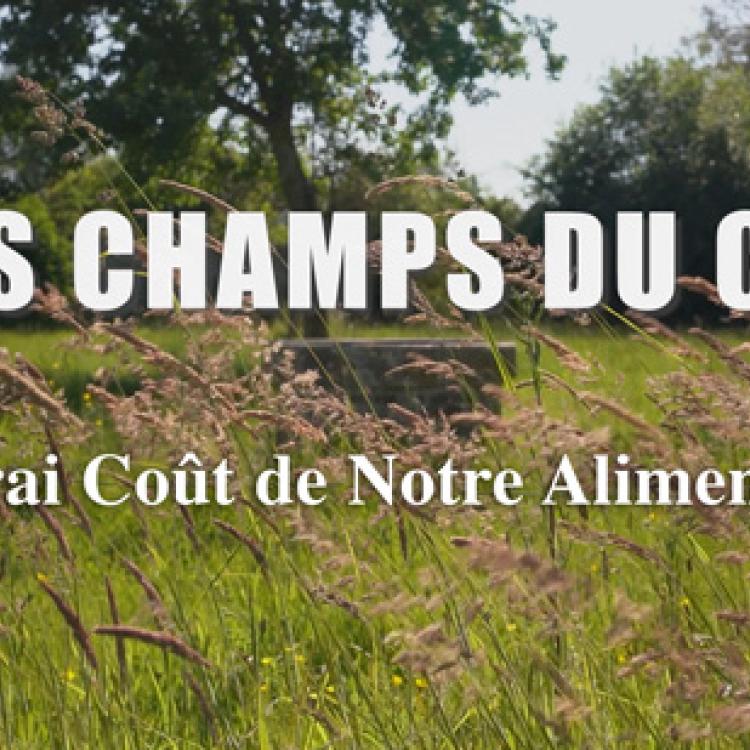 Ciné débat "Leurs champs du cœur" au Mérignac Ciné