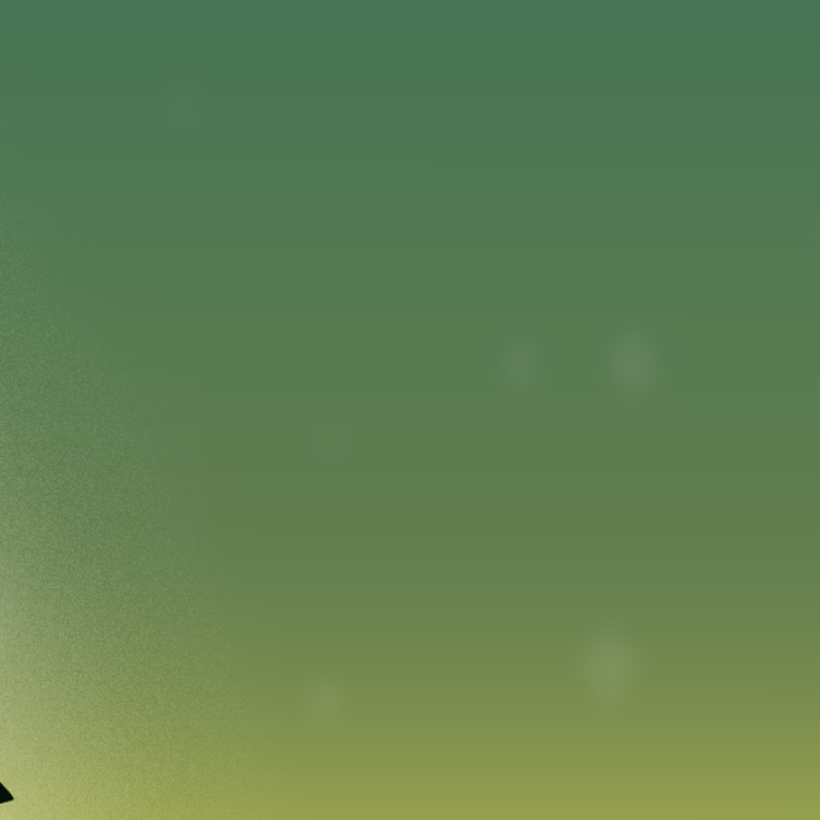 Les animations de Noël à Capeyron