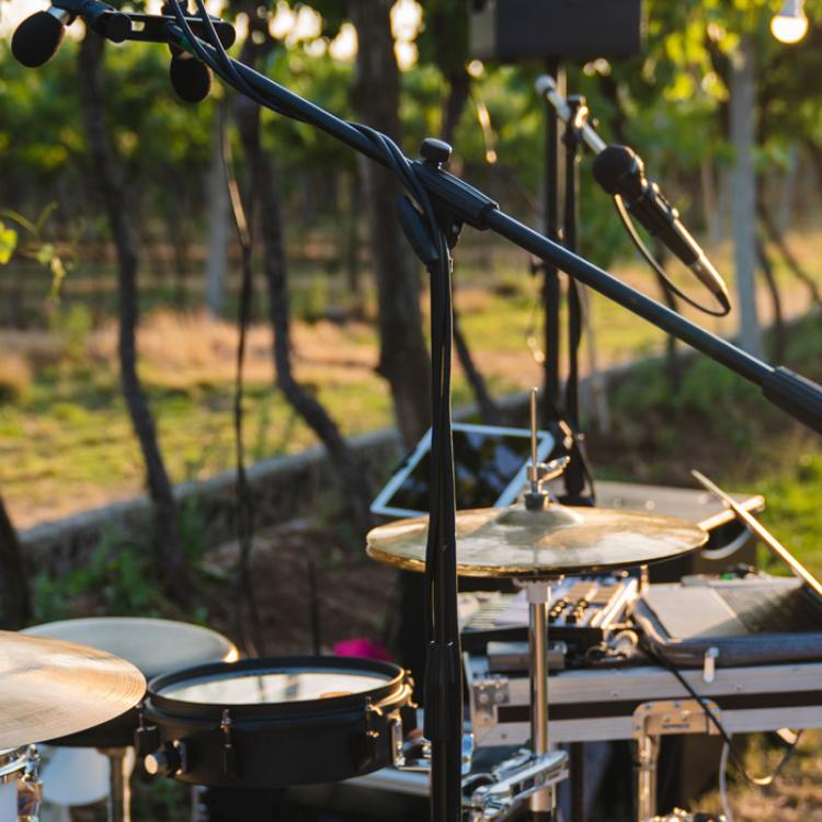 concert dans les vignes