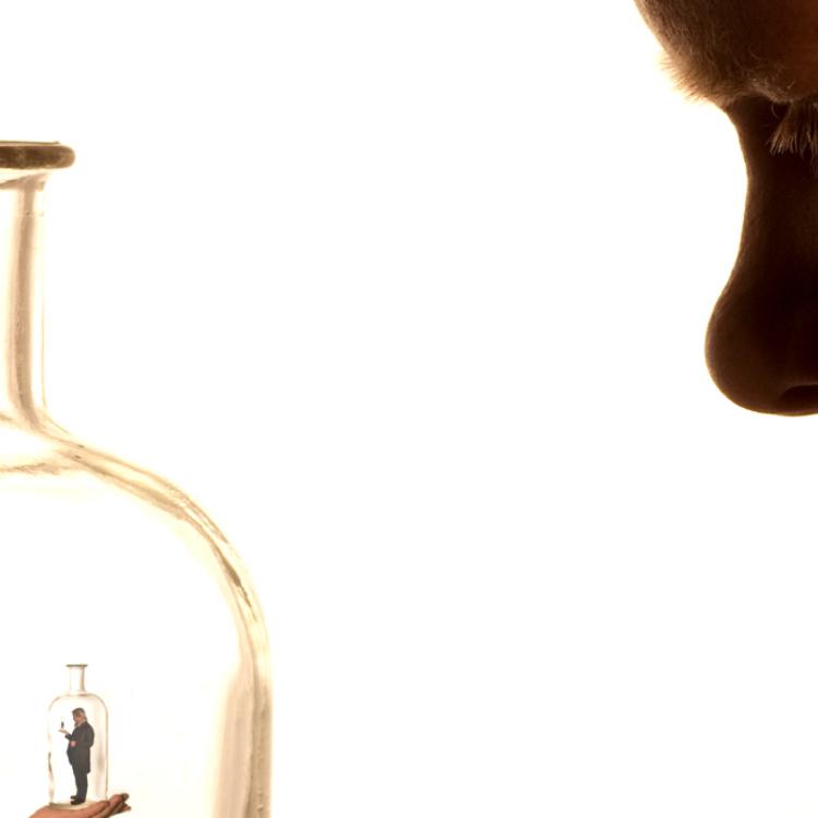 31 juillet - seance peu ordinaire