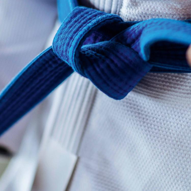 La fête du judo