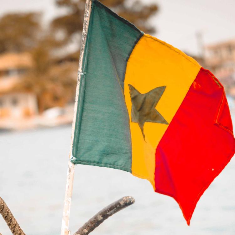 Teranga - Découvrez la culture sénégalaise