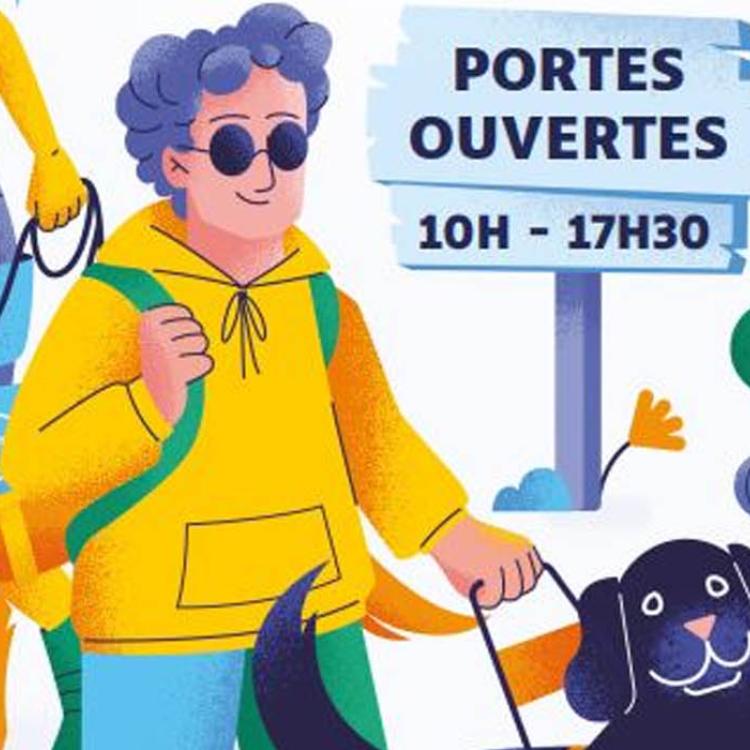 Chiens guides